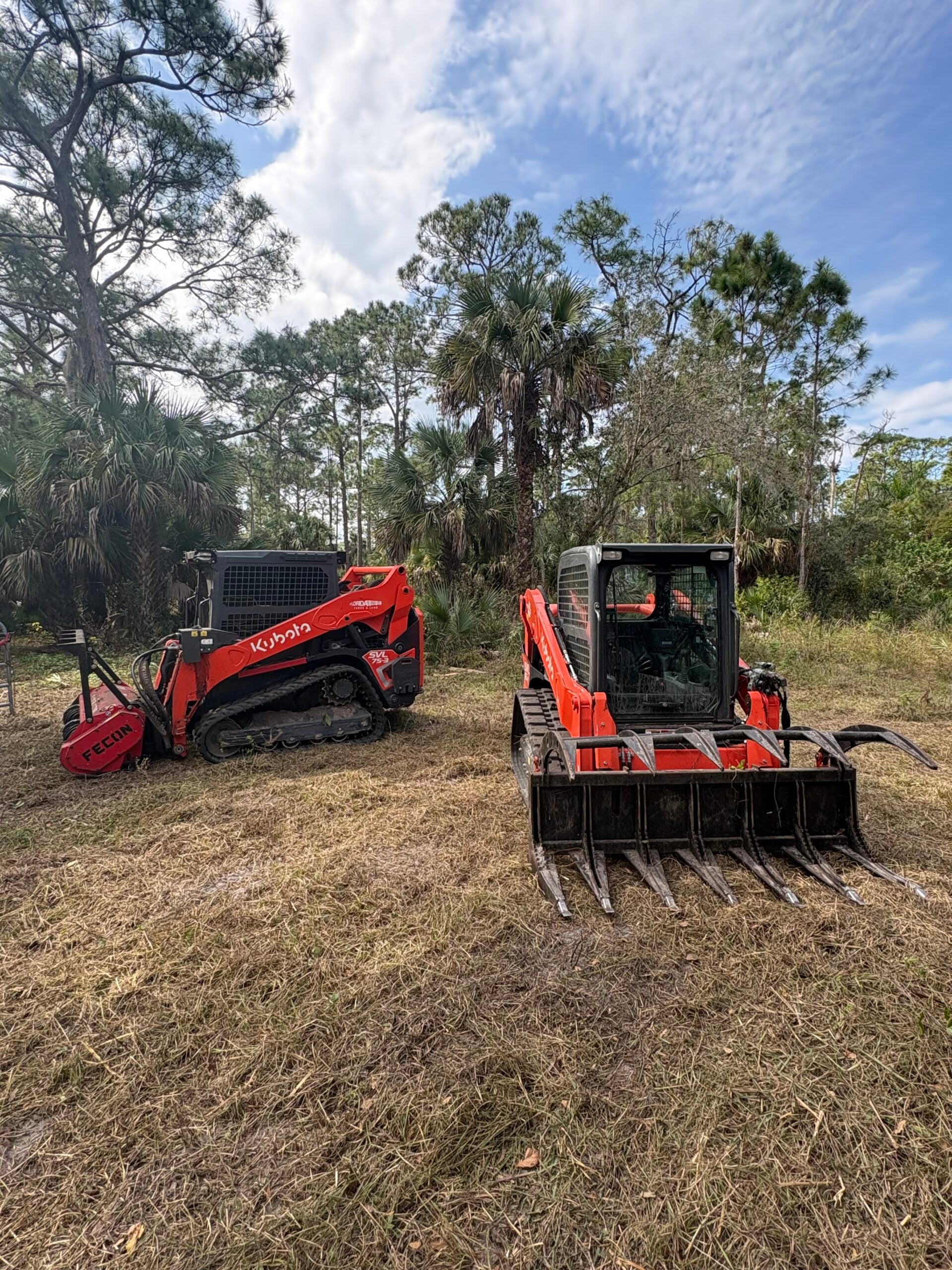 How Much Does Land Clearing Cost in Southwest Florida?